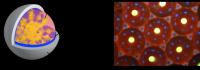 Capsule-Type Laser Resonator