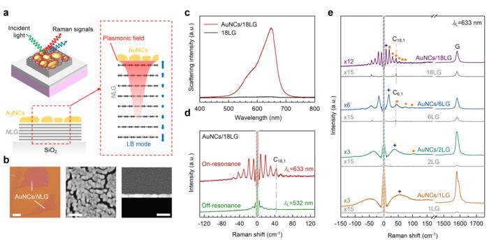 Figure | Plasmon-enhanced Raman modes in AuNCs/NLG.