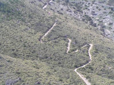 Zigzag