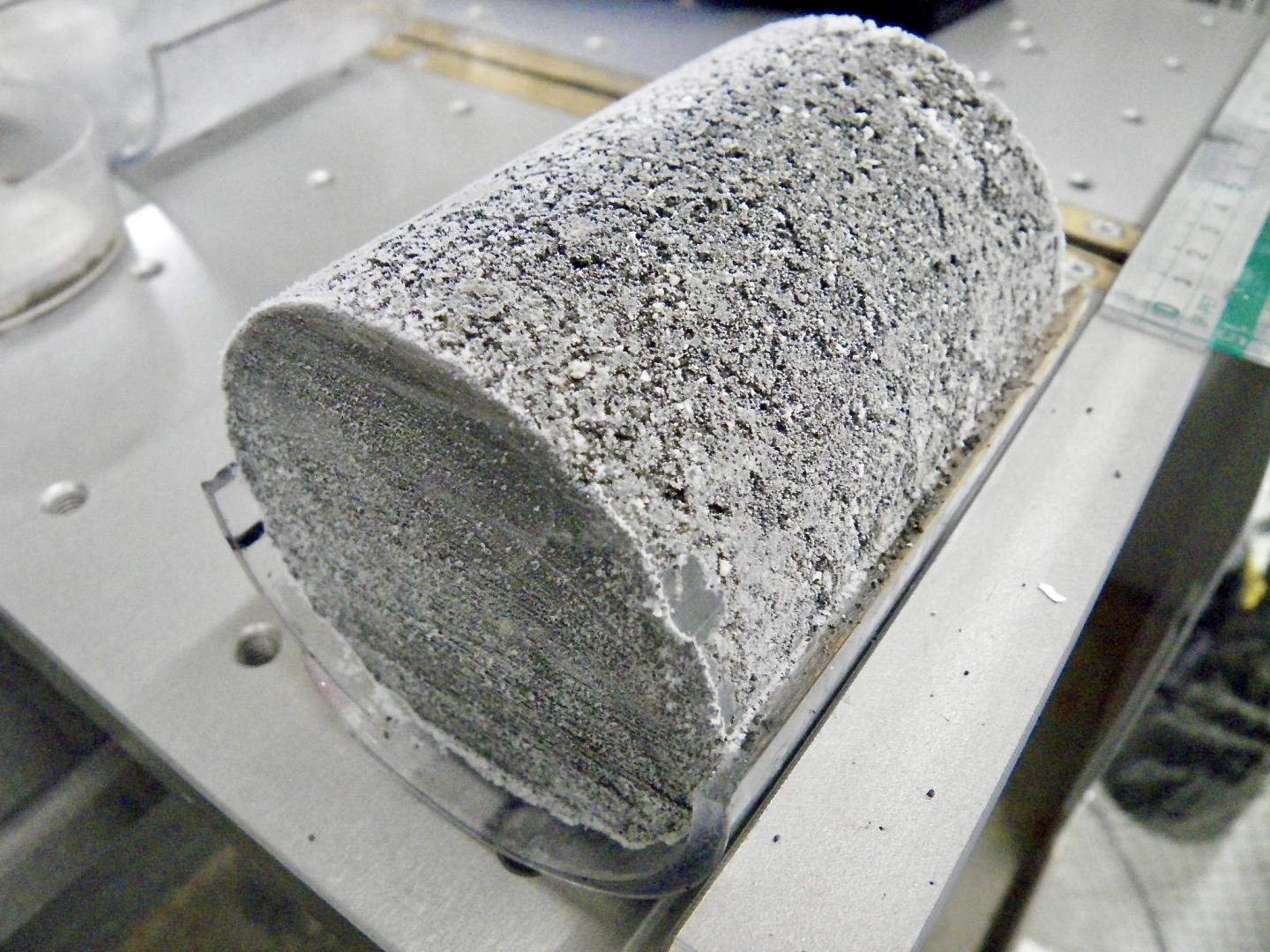 Frozen Marine Sediment Core Sample