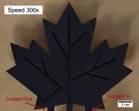 Frost forming on a 3D-printed leaf