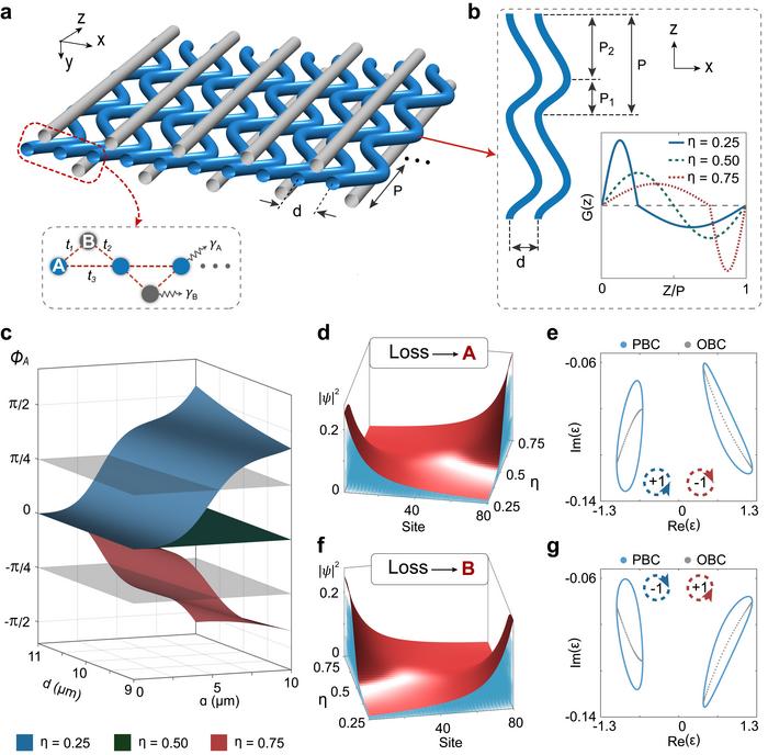 Figure 1 | Non-Hermitian photonic waveguides with skin effects.