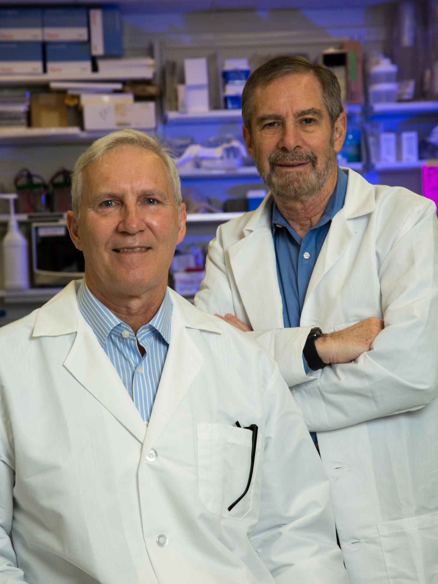 John Schiller and Douglas Lowy