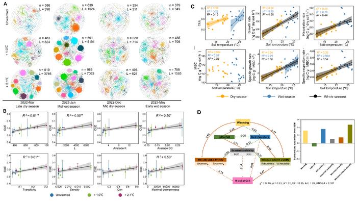 Diagram of the thermal adjustment mechanism of soil microbial carbon metabolism under long-term warming