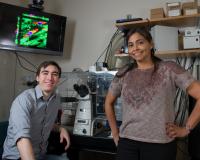 Michelle Dawson and Daniel McGrail, Georgia Institute of Technology