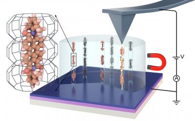 Experimental Setup
