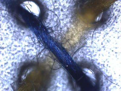 Lab-on-a-Chip