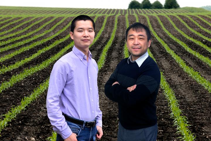 Illinois Researchers