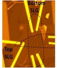 Optical Micrograph (100X) of One of the Devices with the Highlighted Layers of Graphene Electrodes