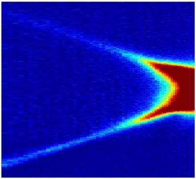 Optical Microscope