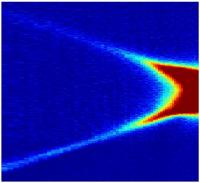Optical Microscope