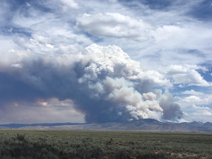 Loyalton Fire
