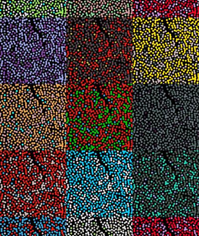 The Mosaic of Photoreceptor Cells