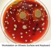 Yuck Factor May Boost Hand Hygiene Compliance (1 of 3)