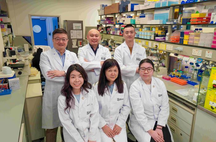 HKUMed-Tsinghua research team