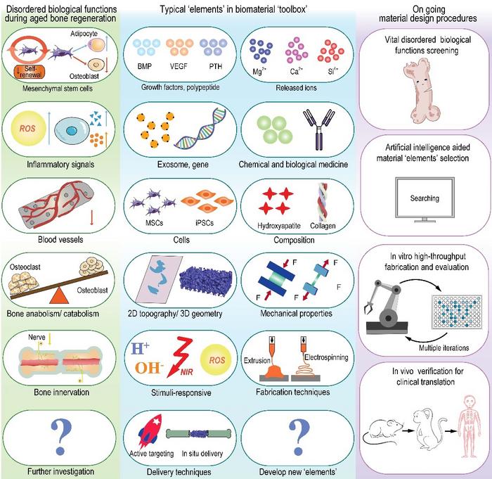 Materiobiology reshaping the development process of aging bone regeneration materials