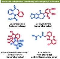 Examples of Bio-Active Compounds Containing a Carbonyl Aryl Structure