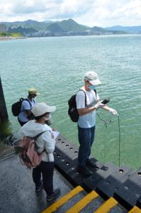 Measurement of water quality parameters