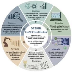 Six connected capabilities of the DESIGN framework for crop molecular breeding