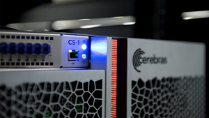 Cerebras image