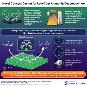 Novel Catalyst Design for Low‑Cost Ammonia Decomposition