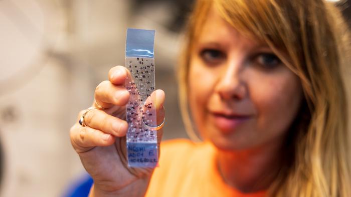 Professor Claire Gwinntett