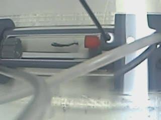 Fish Treadmill