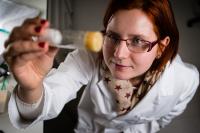 Karolina Mirowska, University of Southampton
