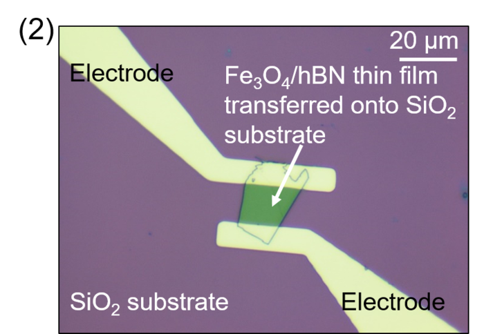 Fig.2