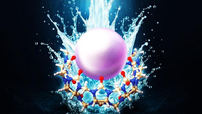 Water molecules are a driving force in the formation of molecular bonds, for example in proteins. (Photo: INT, KIT))