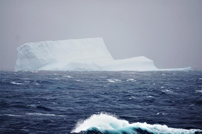 Iceberg