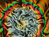 Image of liquid crystals