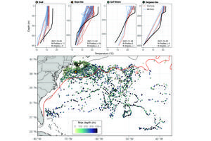 Sharks may help improve climate forecasts, study finds