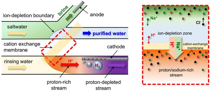 Figure 1. (Left) Conceptual diagram of simultaneous freshwater–hydrogen production using ion concentration polarization (Right) Enlarged view of the region near the membrane, where salt-ion transport and hydrogen-ion transport occur simultaneously.