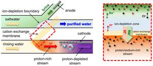 Figure 1. (Left) Conceptual diagram of simultaneous freshwater–hydrogen production using ion concentration polarization (Right) Enlarged view of the region near the membrane, where salt-ion transport and hydrogen-ion transport occur simultaneously.
