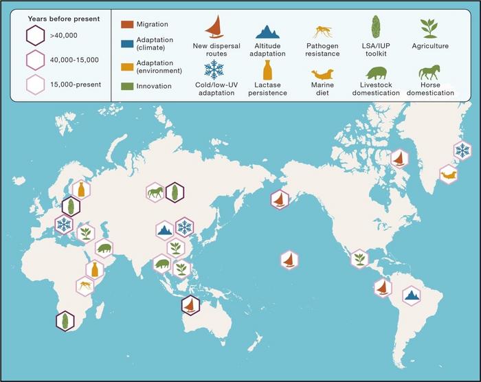 Events in modern human prehistory that have increased overall population fitness, in turn supporting further survival and expansion of the global modern human population