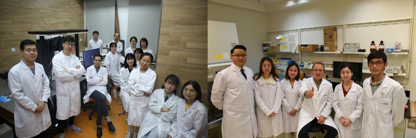 The Two Research Groups