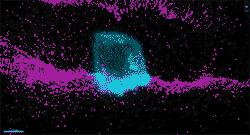 Invading Cell in <i>C. elegans</i>