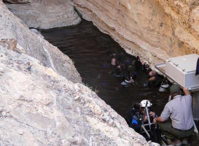 Scuba Divers Conduct Pupfish Research