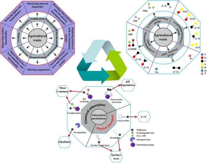 Modification of agricultural wastes to improve sorption capacities for pollutant removal from water – a review