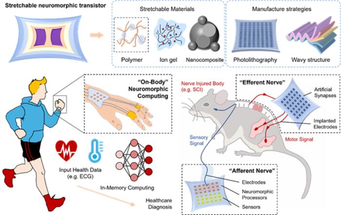 STRATEGIES FOR MANUFACTURING AND DEMONSTRATION OF STRETCHABLE SYNAPTIC TRANSISTOR.