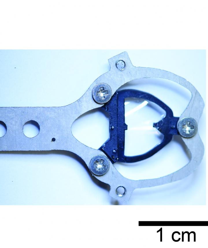 Brain Device