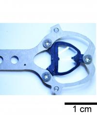 Brain Device