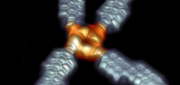 <i>Science Advances</i>