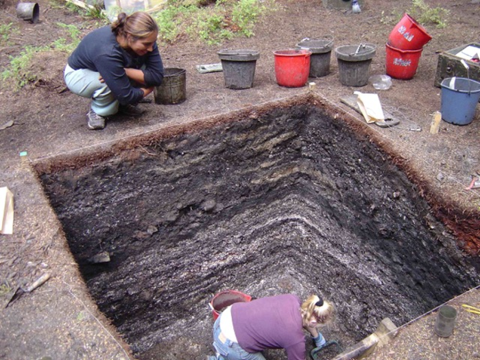 Dense shell midden deposit spanning the past 1,000 years as exposed during excavation at a Tseshaht First Nation village in the Pacific Northwest