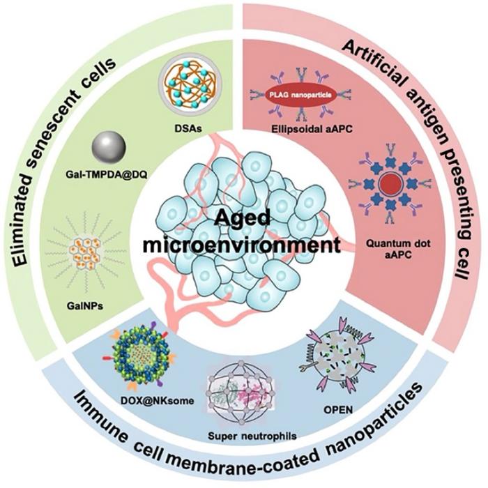 Nanomaterials provide a new strategy for aged patients with tumor.