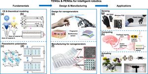 Nanogenerators for robotics and embodied intelligence