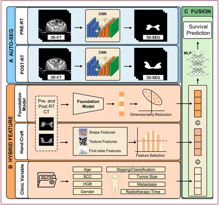 Workflow of the CerviPro model for multimodal feature integration and survival prediction