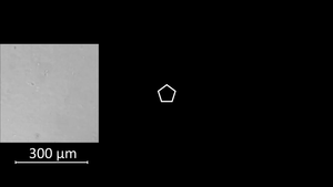 A new strategy for tissue engineering