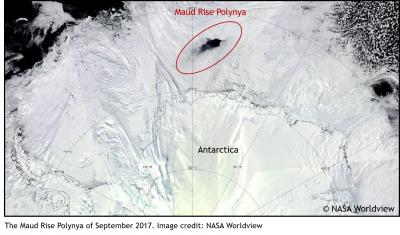 The Maud Rise Polynya